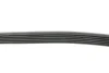 Ремінь генератора Audi A3 1.6/2.0FSI 03-13/Citroen Berlingo 1.9D 96-11/Caddy 1.6-2.0 95-15 (6PK1045) FEBI BILSTEIN 28915 (фото 2)