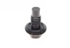 Болт зливу оливи Ford Mondeo 94-07 (M12x1.75) FA1 Fischer Automotive One (FA1) 862.363.001 (фото 1)