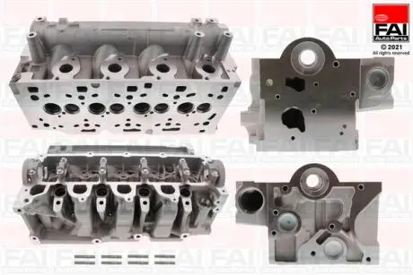 Головка блока цилиндров Renault Megane/Scenic 1.5dCi 09- Fischer Automotive One (FA1) BCH131