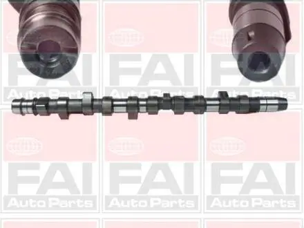 Розпредвал VW 2.5TDI AAT/ABT/AHD Fischer Automotive One (FA1) C231