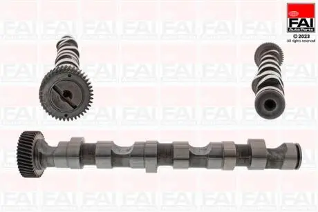 Распределительный вал Audi A4, A6 99-03 Skoda Super B /WV Passat 97-05 Fischer Automotive One (FA1) C246
