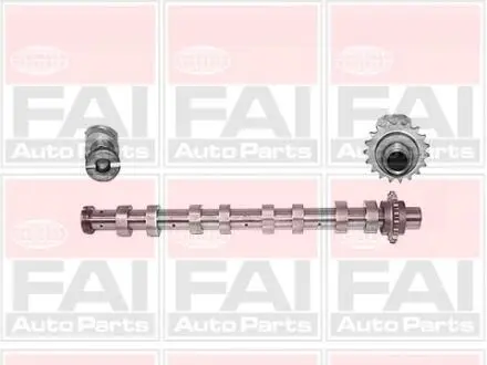 Распределительный вал EX Citroen C2, C3, C4, C5, Berlingo MINI (R56),Peugeot 1007, 206, 207, 3008, 307, 308, 407 1.6HDi 04- Fischer Automotive One (FA1) C267