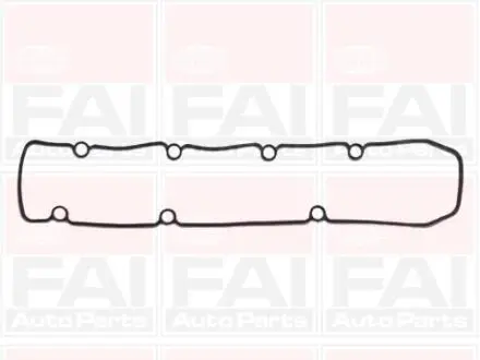 Укладка клап. крышки Citroen Berlingo/Peugeot Partner PSA 2.0HDI DW10, DW12 Fischer Automotive One (FA1) RC869S