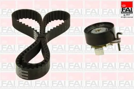 Комплект ГРМ Ford Mondeo/C-Max/Focus/Kuga/Transit Connect 1.5/1.6 EcoBoost 10- (22x117z) Fischer Automotive One (FA1) TBK549
