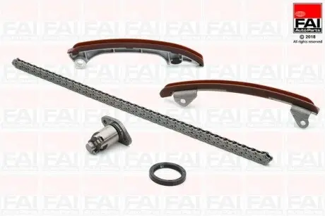 Цепь привода кулачкового вала.) Fischer Automotive One (FA1) TCK34WO