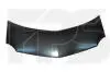 Капот FPS FP 5660 280 (фото 1)