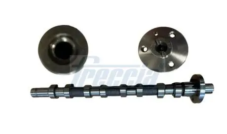 Вал распределительный FRECCIA CM05-2350