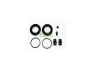 Ремкомплект гальмівного супорта NISSAN NAVARA (D40) 05-,PATHFINDER (R51) 05-,PICK UP (D22) 02- 246010