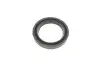 Ремкомплект суппорта (заднего) MB Sprinter 208-316/VW LT 28-35 (d=52mm) (+поршень) (Bosch) FRENKIT 252903 (фото 8)