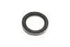 Ремкомплект суппорта (заднего) MB Sprinter 208-316/VW LT 28-35 (d=52mm) (+поршень) (Bosch) FRENKIT 252903 (фото 9)