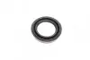 Ремкомплект супорта (переднього) Dodge Journey 08-15 (d=54mm) (Varga)(+2 поршня/направляюча) FRENKIT 751385 (фото 6)
