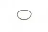 Ремкомплект супорта (переднього) Hyundai Elantra/Kia Rio III 00-(d=54mm)(Mando)(+1 поршень/направляю) FRENKIT 754470 (фото 2)