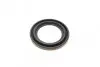 Ремкомплект супорта (переднього) Mazda 323/626 91-02 (d=57mm)(Shin)(+1поршень/направляюча) SuperKit FRENKIT 757493 (фото 8)