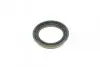 Ремкомплект супорта (переднього) Land Rover Discovery 14-(d=66mm)(+ поршнь/направляюча)(ATE) FRENKIT 766616 (фото 7)