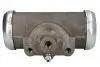 Тормозной цилиндр FTE R5098A1 (фото 1)