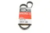 Дорожный ремень 5PK1103