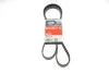 Дорожный ремень Gates 5PK1650 (фото 1)