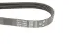 Дорожный ремень Gates 5PK1650 (фото 4)