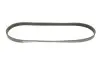 Дорожный ремень Gates 6PK1003 (фото 4)