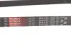 Дорожный ремень Gates 6PK1173 (фото 4)