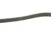 Дорожный ремень Gates 6PK1255 (фото 3)