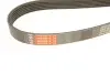 Дорожный ремень Gates 6PK1633 (фото 4)