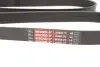 Пас приводной с длиной круга более 180см, но не более 240см Gates 6PK1823XS (фото 3)