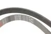 Пас приводной с длиной круга более 180см, но не более 240см Gates 6PK1950 (фото 4)