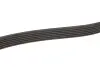 Дорожный ремень Gates 6PK2500 (фото 4)