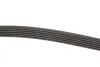 Дорожный ремень Gates 6PK2520 (фото 3)
