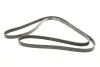 Пас приводной с длиной круга свыше 240см. Gates 6PK2580XS (фото 2)