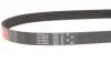 Дорожный ремень Gates 6PK905 (фото 2)