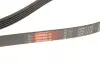 Роликовий модуль натягувача ременя (ролик, ремінь) Gates K015PK1113 (фото 5)