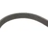 Роликовый модуль натяжителя ремня (ролик, ремень) Gates K016PK1020EST (фото 12)