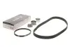 Роликовый модуль натяжителя ремня (ролик, ремень) Gates K025255XS (фото 1)