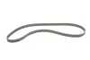 Роликовый модуль натяжителя ремня (ролик, ремень) Gates K025308 (фото 5)