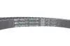 Комплект ГРМ (ремінь + ролик) RENAULT SCENIC II, SUZUKI GRAND VITARA II, TOYOTA AVENSIS, AVENSIS VERSO, COROLLA, COROLLA VERSO, COROLLA/KOMBI, PREVIA II, RAV 4 II 1.9D/2.0D 10.99-03.09 Gates K025562XS (фото 13)