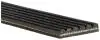 Ремінь генератора BMW 1 (F20/F21)/3 (F30/F80) 1.6i 11-/Honda Civic VII/FR-V 1.7i 01- Gates K060388RPM (фото 2)