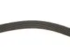 Комплект ременя генератора Citroen Jumper/Peugeot Boxer 2.2 HDi 11- (6PK1640) Gates K166PK1640 (фото 10)