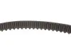 Комплект ГРМ + помпа Citroen Berlingo/C3/Peugeot 206/301 1.6 00- (25.4x134z) Gates KP35581XS (фото 3)