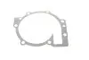 Роликовый модуль натяжителя ремня (ролик, ремень, насос) Gates KP45509XS (фото 18)