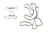 Прокладка радіатора масляного Land Rover Range Rover III/IV 4.2/4.4 05- (к-кт) GAZO GZ-A1257 (фото 1)