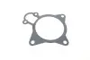 Прокладка помпы воды Citroen Jumper/Fiat Ducato/Peugeot Boxer 3.0 HDi 06- GAZO GZ-A2037 (фото 3)