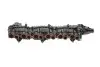 Коллектор впускной BMW 3 (E90/F30/F80)/5 (F10)/7 (F01-F04) 3.0D N57 10- GAZO GZ-E1079 (фото 1)