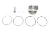 Поршень Ford Focus III/Galaxy III/Mondeo V 1.5 EcoBoost 14- (79.00mm/STD) GAZO GZ-F1597 (фото 1)