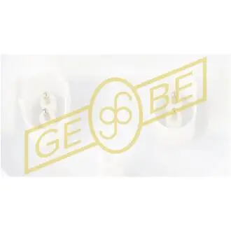 Котушка запалювання двигуна Gebe 9 4555 1
