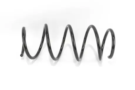 Пружина передня Megane II 1.9/2.0 dCi 03- GOODREM RP0248