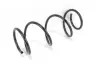 Пружина передня Clio/Modus 04- GOODREM RP0261 (фото 2)