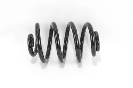 Пружина задня BMW 3 (E46) 90-07 D15/143 L243 L/R GOODREM RP1175