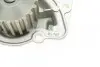 Комплект ГРМ + помпа Citroen/Peugeot 2.0HDI 99-06/Fiat Scudo/Ducato 2.0JTD 01-06 (141x25.4) (PA747) GRAF KP747-1 (фото 10)
